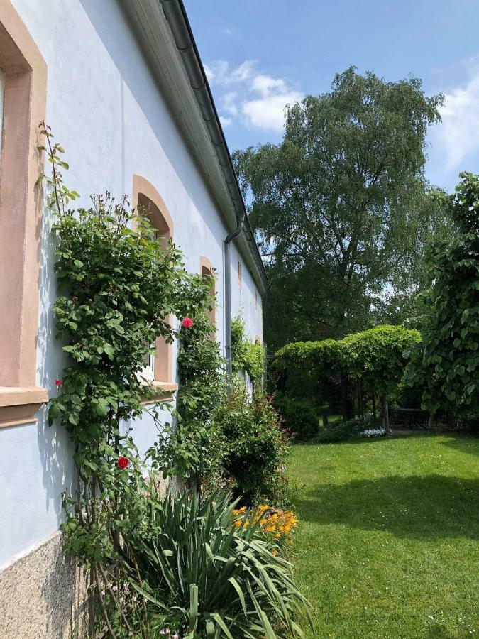 Ferienwohnung Maurer Hasborn-Dautweiler Exterior photo