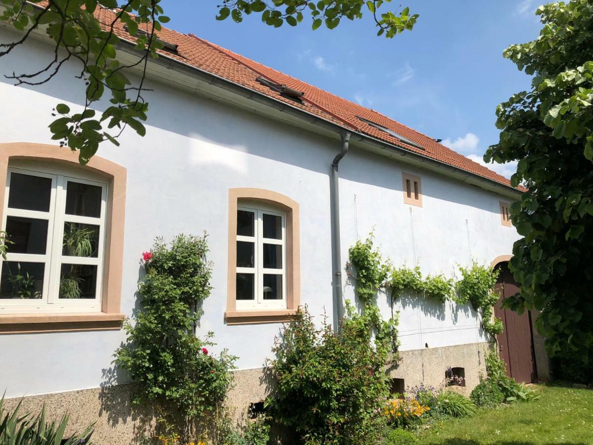 Ferienwohnung Maurer Hasborn-Dautweiler Exterior photo